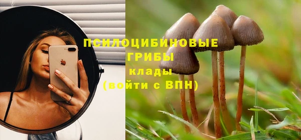 тгк Алексеевка