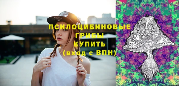 кокс Алексин