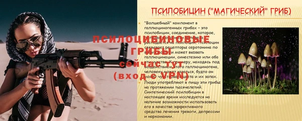 кокс Алексин