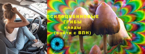 тгк Алексеевка