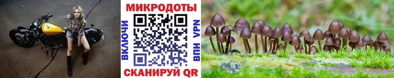 Галлюциногенные грибы Cubensis  купить   Рубцовск 